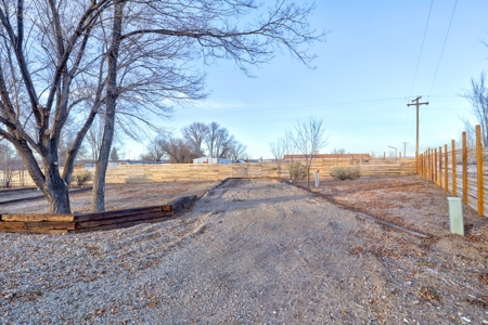 Land for Sale with Tiny Home and Income Potential! - image 28