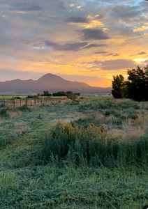 Land for Sale with Tiny Home and Income Potential! - image 11