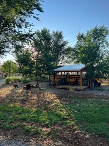 Land for Sale with Tiny Home and Income Potential! - image 4