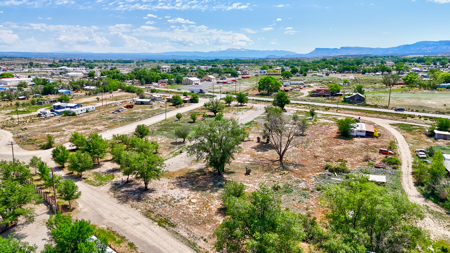 Land for Sale with Tiny Home and Income Potential! - image 42