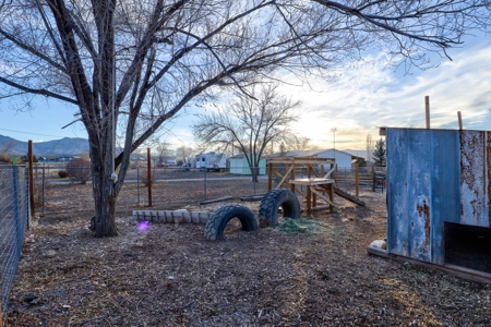 Land for Sale with Tiny Home and Income Potential! - image 23