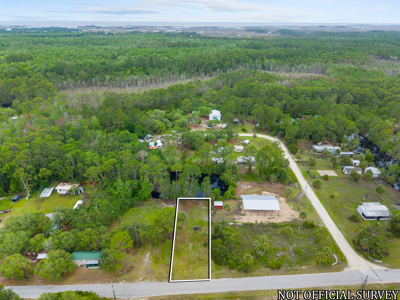 Rv Lot In Suwannee Florida - Near  Gulf Of Mexico - image 3