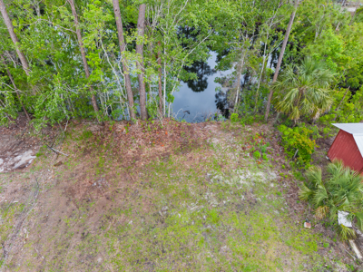 Rv Lot In Suwannee Florida - Near  Gulf Of Mexico - image 8