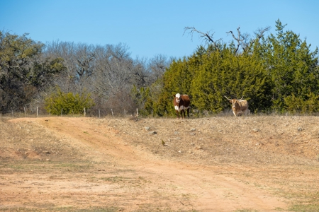 Dream Home! High-End Custom Barndominium in Early, TX on 56 Acres - Hunting, Fishing - image 32