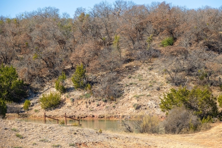 Dream Home! High-End Custom Barndominium in Early, TX on 56 Acres - Hunting, Fishing - image 31