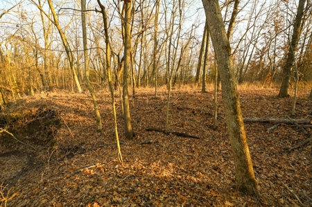 Land for Sale Bates County, MO - image 15