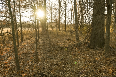 Land for Sale Bates County, MO - image 19