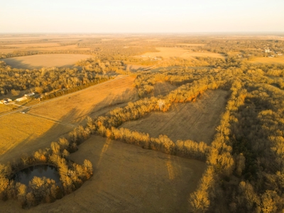 Land for Sale Bates County, MO - image 41