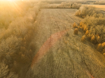 Land for Sale Bates County, MO - image 29