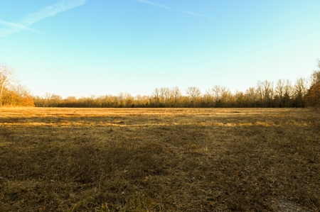 Land for Sale Bates County, MO - image 5