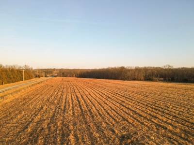 Land for Sale Bates County, MO - image 37