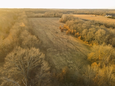 Land for Sale Bates County, MO - image 28