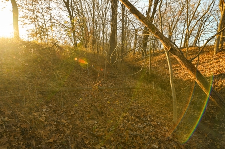 Land for Sale Bates County, MO - image 10
