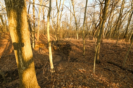 Land for Sale Bates County, MO - image 14