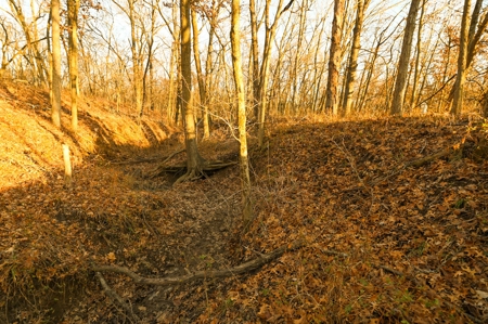 Land for Sale Bates County, MO - image 9
