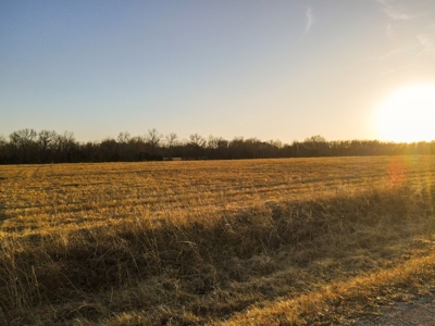 Land for Sale Bates County, MO - image 38