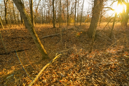 Land for Sale Bates County, MO - image 13