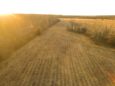 Land for Sale Bates County, MO - image 26