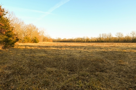Land for Sale Bates County, MO - image 6
