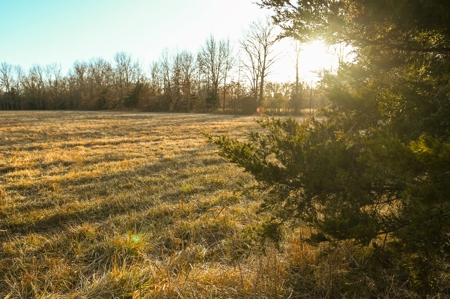 Land for Sale Bates County, MO - image 3