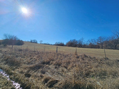 Forty Acres with a View! - image 10