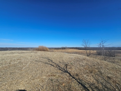 Forty Acres with a View! - image 6