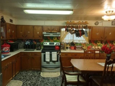Country Home in Williford Arkansas - image 2