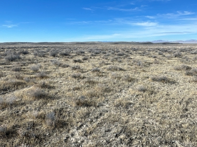 Nevada Ranch Residential Recreational Hunting Land For Sale - image 4