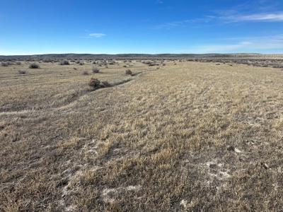 Nevada Ranch Residential Recreational Hunting Land For Sale - image 8