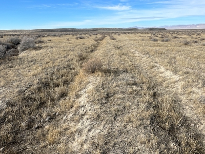 Nevada Ranch Residential Recreational Hunting Land For Sale - image 6