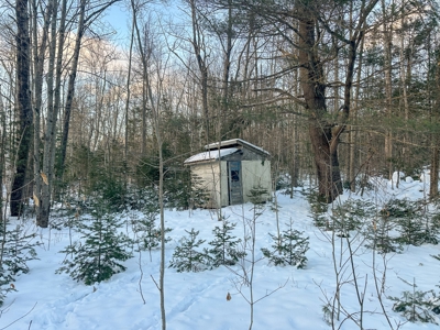 Buildable Lot in Orneville Township - image 4