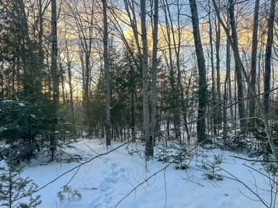 Buildable Lot in Orneville Township - image 5