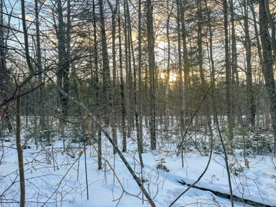 Buildable Lot in Orneville Township - image 12