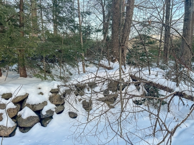 Buildable Lot in Orneville Township - image 11