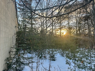 Buildable Lot in Orneville Township - image 3