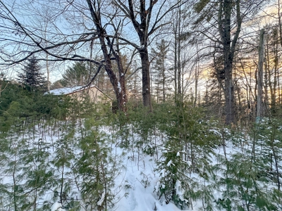 Buildable Lot in Orneville Township - image 13