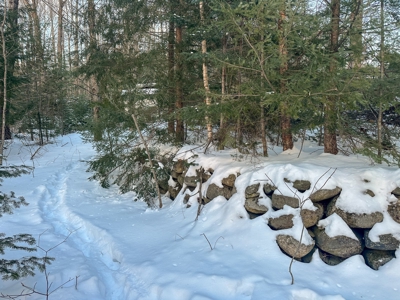 Buildable Lot in Orneville Township - image 10