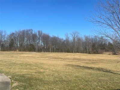 Country home & farm for sale near Bowling Green, Ky. - image 4