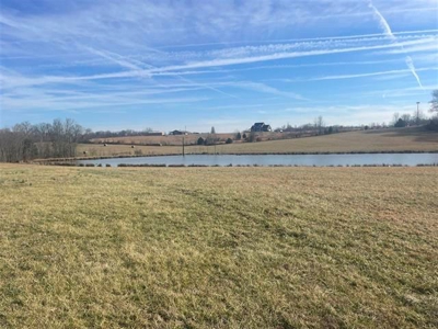Country home & farm for sale near Bowling Green, Ky. - image 8