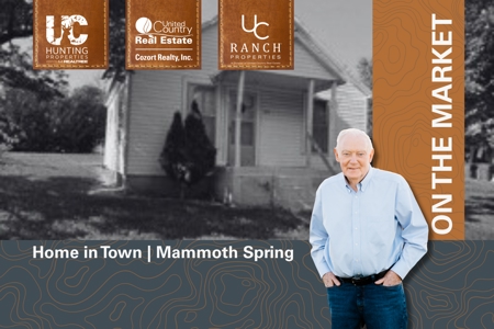 Home in Town for Sale Mammoth Spring Arkansas - image 8