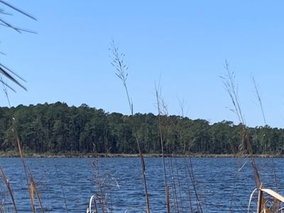2.49-AC Waterfront Homesite in Bailey Pointe - Belhaven, NC - image 3