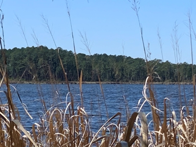 2.49-AC Waterfront Homesite in Bailey Pointe - Belhaven, NC - image 2