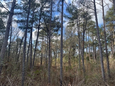 40 Acres For Sale Copiah County Crystal Springs Mississippi - image 16