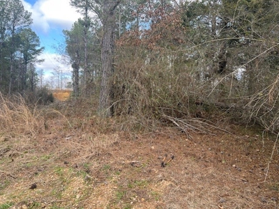 40 Acres For Sale Copiah County Crystal Springs Mississippi - image 18