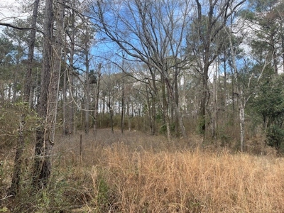 40 Acres For Sale Copiah County Crystal Springs Mississippi - image 4
