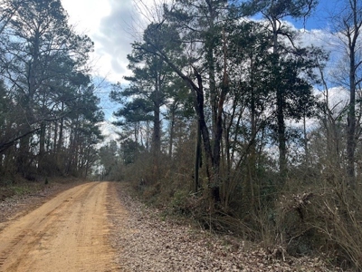 40 Acres For Sale Copiah County Crystal Springs Mississippi - image 6