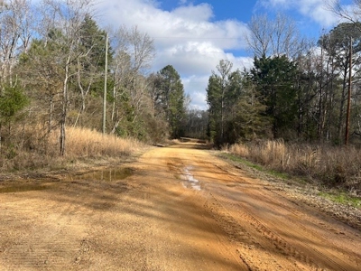 40 Acres For Sale Copiah County Crystal Springs Mississippi - image 15