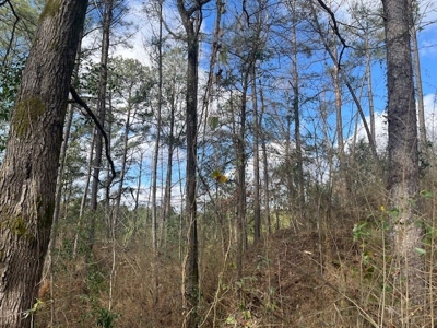 40 Acres For Sale Copiah County Crystal Springs Mississippi - image 10