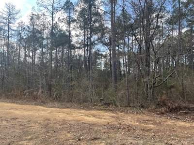 40 Acres For Sale Copiah County Crystal Springs Mississippi - image 17