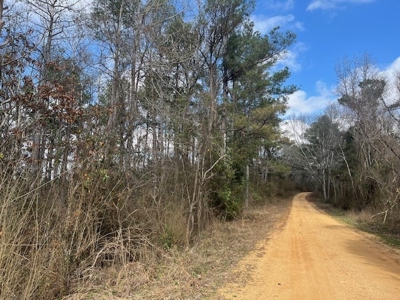 40 Acres For Sale Copiah County Crystal Springs Mississippi - image 12